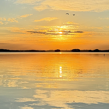202605130348033_IMG4267
